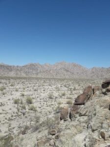A desert scene: in the foreground are light colored rocks and sparse vegetation. In the background is a rocky ridge with blue sky above it.