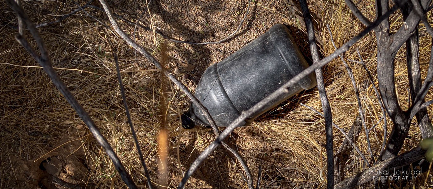 A black plastic one-gallon water jug is seen lying in sand and grass, partly hidden under a bush.